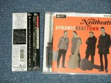 画像: ザ・ニートビーツ THE NEATBEATS -  ダイナミック・ビート・タウン  DYNAMIC BEAT TOWN (MINT-/MINT) / 2012  Japan ORIGINAL  Used CD  with OBI