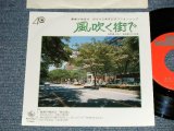 画像:  佐藤( さとう ) 宗幸 MUNEYUKI SATO -  A)風吹く街で B-1)　藤崎労働組合「組合歌」A)風吹く街で B-1)　藤崎労働組合「組合歌」(MINT-/MINT) / 1970's JAPAN ORIGINA Used 7" SINGLE  