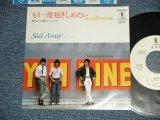 画像: セイル・アウエイ SAIL AWAY - A)もう一度抱きしめたい  B) 離れていても(Ex+/MINT-)  / 1982 JAPAN ORIGINAL "WHITE LABEL PROMO" Used  7" 45 rpm Single 