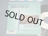 画像: スターダスト・レビュー STARDUST REVUE  - A) 今夜だけきっと B) BABY, IT'S YOU (Ex+++/MINT- SWOFC)  / 1986 JAPAN ORIGINAL "WHITE LABEL PROMO" Used 7" Single 