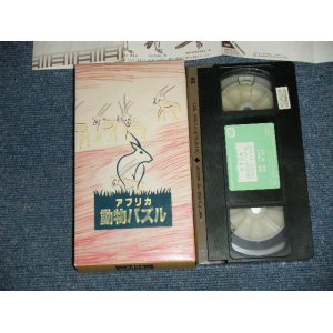 画像: 大貫妙子 TAEKO OHNUKI - アフリカ動物パズル (Ex+++/MINT) / 1985 JAPAN ORIGINAL Used VIDEO 