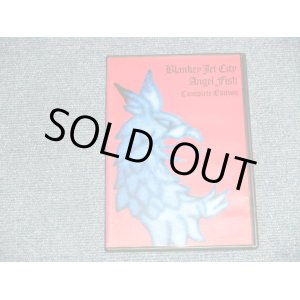 画像: BLANKEY JET CITY ブランキー・ジェット・シティ - Angel Fish Complete Edition  ( MINT-.MINT) / 2002 JAPAN ORIGINAL Used DVD 