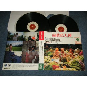 画像: Shing02 - 緑黄色人種   (Homo Caeruleus Cerinus Instrumentals) (Ex+++/Ex+++)  / 1999 JAPAN ORIGINAL Used  2-LP 
