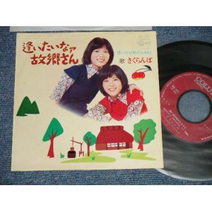 画像: さくらんぼ SAKURANBO - A) 逢いたいなァ故郷さん  B) 想い出は私のふるさと (Ex++/MINT-) /1973 JAPAN ORIGINAL Used 7"45 Single  