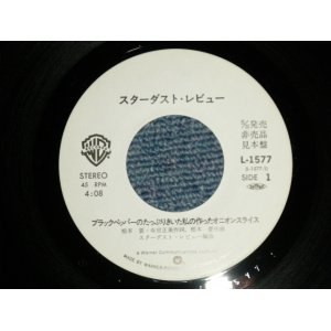 画像: スターダスト・レビュー STARDUST REVUE  - A) 銀座ネオン・パラダイス B) non  (No Cover /Ex+++ )  / 1981 JAPAN ORIGINAL "PROMO ONLY ONE SIDED" Used 7" Single 