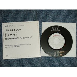 画像: GRAPEVINE グレイプバイン - スロウ (MINT-/MINT) / 1999  JAPAN ORIGINAL "PROMO ONLY" Used CD Single 