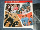 画像: V.A. Various - ビート・キャラバン BEAT CARAVAN - シャープ・ホークス THE SHARP HAWKS  - 遠い渚 + 3 (MINT-/Ex++ Looks:Ex++)  / 1967 Japan Original  Used 7" 33 rpm EP 