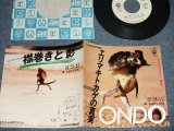 画像: かまやつひろし HIROSHI KAMAYATSU -  A)エリマキトカゲの真実 B) 襟巻きと影(Ex+++/MINT-) / 1984 JAPAN ORIGINAL "WHITE LABEL PROMO" Used 7" Single 