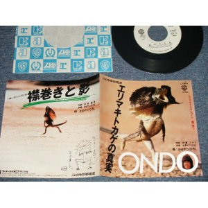 画像: かまやつひろし HIROSHI KAMAYATSU -  A)エリマキトカゲの真実 B) 襟巻きと影(Ex+++/MINT-) / 1984 JAPAN ORIGINAL "WHITE LABEL PROMO" Used 7" Single 