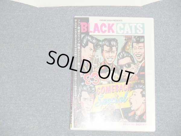 画像1: ブラック・キャッツBLACK CATS - '83 COMEBACK SPECIAL with POSTER  (MINT-/MINT) / 2005 JAPAN ORIGINAL Used  DVD with OBI オビ付 