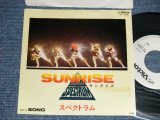 画像: スペクトラム SPECTRUM  - A) SUNRISE  B) SONG (Ex+/MINT-) / 1980 JAPAN ORIGINAL "White Label PROMO" Used 7" シングル Single