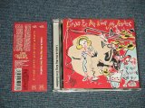 画像: LINDA&THE BIG KING JIVE DADDIES - LINDA&THE BIG KING JIVE DADDIES (MINT-/MINT) / 2003 JAPAN ORIGINAL Used CD with OBI