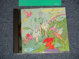 画像: 今田勝 MASARU IMADA - レインボー・アイランド RAINBOW ISLAND (MINT-/MINT) / 1985 JAPAN ORIGINAL Used CD 