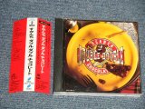 画像: すかんち SKANCH - ダブル ダブル チョコレート DOUBLE DOUBLE CHOCOLATE (MINT-/MINT) / 1994 JAPAN ORIGINAL Used 2-CD with OBI