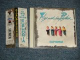 画像: ユーフォリア EUPHORIA - フライ・ウィズ・ザ・リズム FLY WITH THE RHYTHM (MINT-/MINT) / 1991 JAPAN ORIGINAL "PROMO" Used CD with Obi