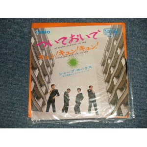 画像: シャープ・ホークス　THE SHARP HAWKS  - ついておいで　：キュン！キュン！キュン！ (BRAND NEW) / 1983 JAPAN REISSUE "BRAND NEW" 7" シングル