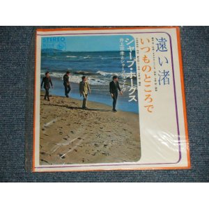 画像: シャープ・ホークス　THE SHARP HAWKS  - 遠い渚　：いつものところで (NEW) /  JAPAN REISSUE "BRAND NEW" 7" シングル