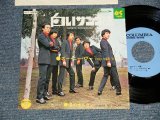 画像: ズー・ニー・ブー ZOO NEE VOO - A)白いサンゴ礁  B)涙のオルガン (MINT-, Ex++/MINT)/ 1976 JAPAN REISSUE Used 7" Single 