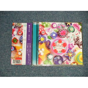 画像: 鈴木トオル TORU SUZUKI - アソートASSORT (MINT/MINT) / 2008 JAPAN ORIGINAL Used CD with OBI