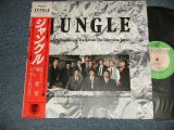 画像: TC Soundtrack 林哲司 TETSUJI HAYASHI ジャッキー・リン＆パラビオン -  ジャングル JUNGLE (MINT-/MINT) / 1987 JAPAN ORIGINAL Used LP With OBI