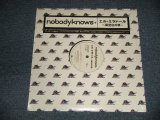 画像: nobodyknows+ - エル・ミラドール (展望台の唄) (SEALED)  / 2005 JAPAN ORIGINAL "BRAND NEW SEALED" 12" 