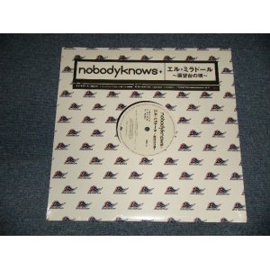 画像: nobodyknows+ - エル・ミラドール (展望台の唄) (SEALED)  / 2005 JAPAN ORIGINAL "BRAND NEW SEALED" 12" 