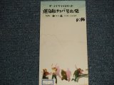 画像: ザ・コブラ・ツイスターズ The COBRA TWISTERS - 運命船サラバ号出発 (Ex/MINT WOFC, STOFC) / 1999 JAPAN ORIGINAL "PROMO"  Used CD Single 