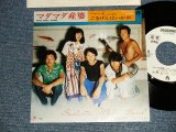 画像: サディスティック・ミカ・バンド SADISTIC MIKA BAND - A)マダマダ産婆 Mada Mada Samba  B)ヘーイ、ごきげんはいかが Hi Jack (Ex+++/MINT-) / 1975 JAPAN ORIGINAL "WHITE LABEL PROMO" Used 7" Single 