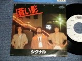 画像: シグナル SIGNAL - A)蒼い影  B)いつまでも海は (Ex+++/MINT-)  / 1981 JAPAN ORIGINAL "WHITE LABEL PROMO" Used 7" Single