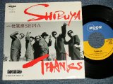画像: 一世風靡セピア ISSEIFUBI SEPIA - A)SHIBUYA   B)THANKS (Ex++/MINT- SWOFC) / 1989 JAPAN ORIGINAL "PROMO" Used 7" Single