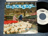 画像: ヤング101 Young 101 - A)ビューティフル・サンデー BEAUTIFUL SUNDAY  B)ミスター・ロンリー MR.LONELY (Ex++/Ex++ Looks:Ex WOFC) / 1976 JAPAN ORIGINAL "WHITE ABEL PROMO" Used 7" Single 