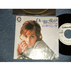 画像: 山本リンダ LINDA YAMAMOTO - A)白い街に花が  B)あしたからの私 (Ex++/Ex+++) / 1971 JAPAN ORIGINAL "WHITE LABEL PROMO" Used 7" Single  