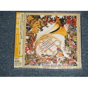 画像: 相曽晴日 AISO HARUMI - 風は気まぐれ  (SEALED) / 2003 JAPAN "BRAND NEW SEALED" CD