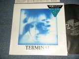 画像: 遠藤ミチロウ MICHIRO ENDO (ザ・スターリン The STALIN) - TERMINAL  (MINT/MINT)  / 1988 JAPAN ORIGINAL Used LP 