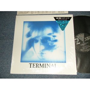 画像: 遠藤ミチロウ MICHIRO ENDO (ザ・スターリン The STALIN) - TERMINAL  (MINT/MINT)  / 1988 JAPAN ORIGINAL Used LP 
