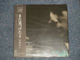 画像: 友部正人 MASATO TOMOBE - また見つけたよ (SEALED) / 2003 JAPAN "MINI-LP PAPER SLEEVE 紙ジャケット仕様" "Brand New Sealed CD 