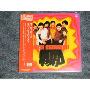 画像: ザ・ビーバーズ THE BEAVERS - ビバ!ビーバーズ!  VIVA BEAVERS (SEALED) / 2001 JAPAN "MINI-LP PAPER SLEEVE 紙ジャケット仕様" "Brand New Sealed CD 