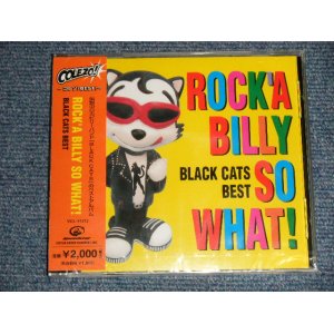 画像: ブラック・キャッツ BLACK CATS - ROCK 'A BILLY SO WHAT! BEST  (SEALED) / 2005 JAPAN ORIGINAL "BRAND NEW SEALED"  CD with OBI 