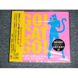 画像: ブラック・キャッツ BLACK CATS - GO CAT GO! BLACK CATS IN USA  (SEALED) / 2004 JAPAN ORIGINAL "BRAND NEW SEALED"  2-CD with OBI 
