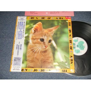 画像: ost 坂本龍一 RYUUICHI SAKAMOTO - 子猫物語 ~The Adventures Of Chatran (MINT-/MINT-) / 1986 JAPAN ORIGINAL "PROMO" "Without POSTER...MISSING"  Used LP with OBI 