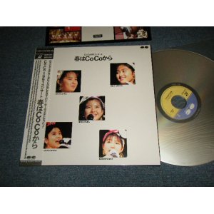 画像: ＣoCo / Co Co - 春はCo Coから (MINT/MINT-) /  JAPAN ORIGINAL Used LaserDisc with OBI