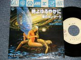 画像: サーカス CIRCUS - A)時よゆるやかに Tokiyo Yuruyakani  B)愛のカンタータ Aino Cantata(Ex++/MINT-) / 1981 JAPAN ORIGINAL Used 7"45 Single  