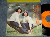 画像: チューインガム  CHEWING GUM  - A)逃げた小鳥  B)お寺まいり  (MINT-/Ex+++ Visual Grade)   / 1973  JAPAN ORIGINAL Used 7" Single  シングル