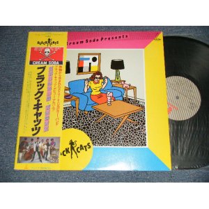 画像: ブラック・キャッツ　BLACK CATS - クリーム・ソーダプレゼンツ CREAM SODA PRESENTS  (NO INSERTS)  (Ex+++/MINT-)  / 1981 JAPAN ORIGINAL Used LP With OBI   