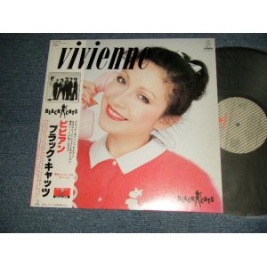 画像: ブラック・キャッツ　BLACK CATS - ビビアン VIVIANNE (NO INSERTS)  (MINT-/MINT-)  / 1982 JAPAN ORIGINAL Used LP With OBI   