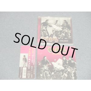 画像: キャロル　CAROL - ザ・ベスト THE BEST  (Ex, MINT-/MINT) / 2003 JAPAN ORIGINAL Usd CD+DVD with OUTER & OBI