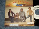 画像: 飛行船 HIKOUSEN  -  悲しみのイエスタディ KANASHIMI NO YESTERDAY (Ex++/Ex++ STOFC, CLOUD) / 1977 JAPAN ORIGINAL "White Label PROMO"  Used 7" Single 