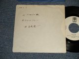 画像: 岩城滉一KOHICHI IWAKI (COOLS) - A)TOKYO豚  B)フィール・ブルー  (?/Ex++) / 1980 JAPAN ORIGINAL "promo only"Used  7"Single