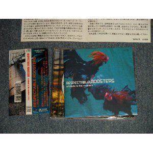 画像: V.A. Various Omnibus - RESPECTABLE ROOSTERS〜a tribute to the roosters (Ex+++/Ex+++)  / 1999 JAPAN ORIGINAL Used CD With OBI