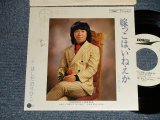 画像: はしだのりひこ NORIHIKO HASHIDA  - 嫁っこは、いねえか YOMEKKO WA,INEKA  (Ex++/MINT BB for PROMO SWOFC) / 1979 JAPAN ORIGINAL "White label PROMO" Used 7" SINGLE 